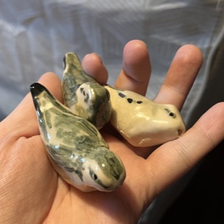 birds_thumb.jpg