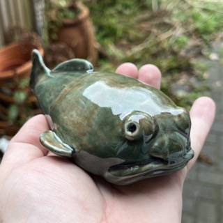 blobfish_thumb.jpg