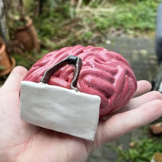 brain_thumb.jpg